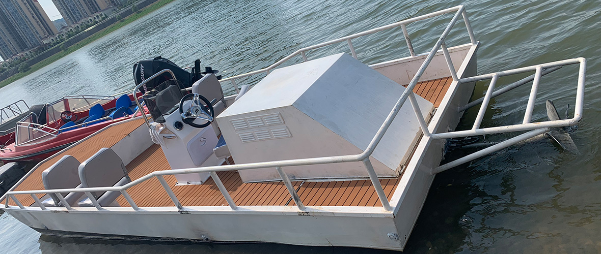 Arneson surface drive for high speed recreational boat